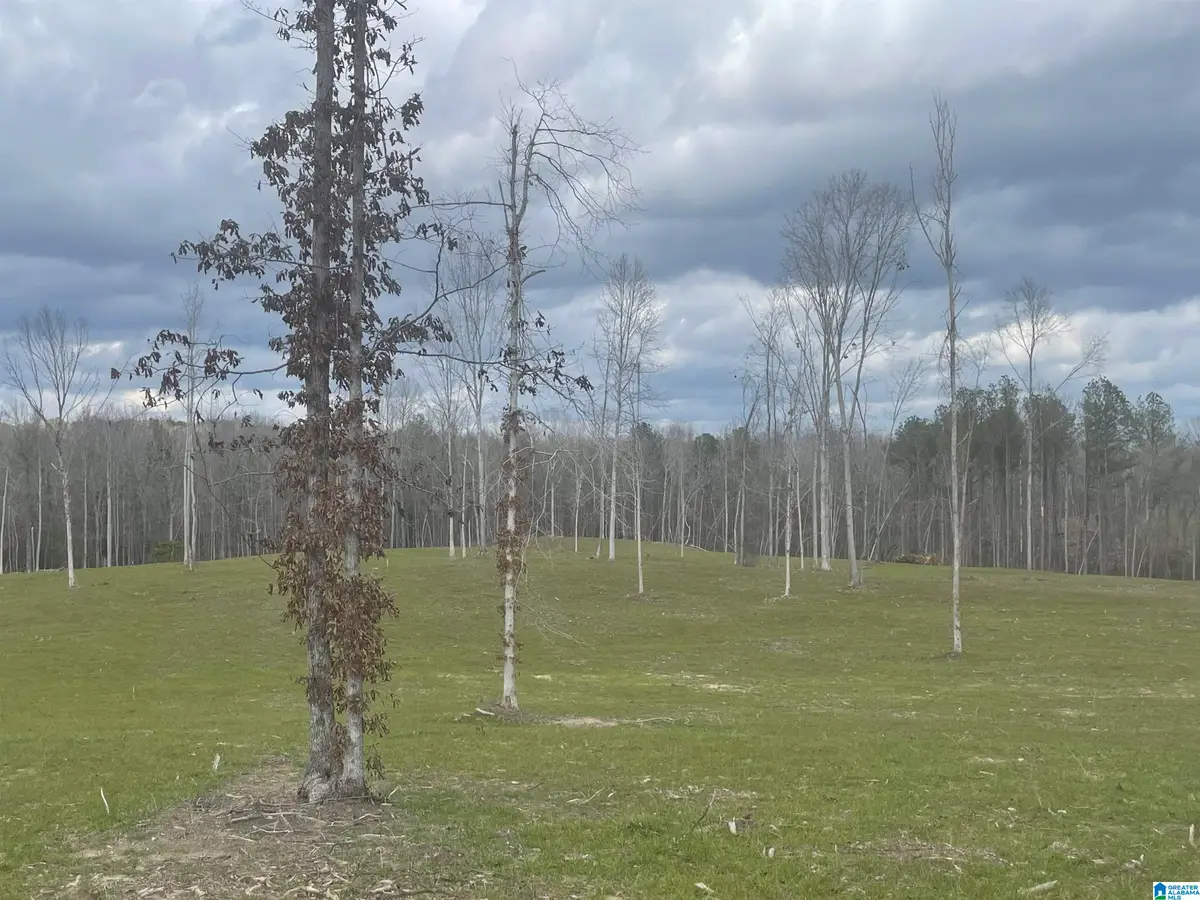 003 TRUMAN ALDRICH PARKWAY, West Blocton, AL 35184 - Image #1