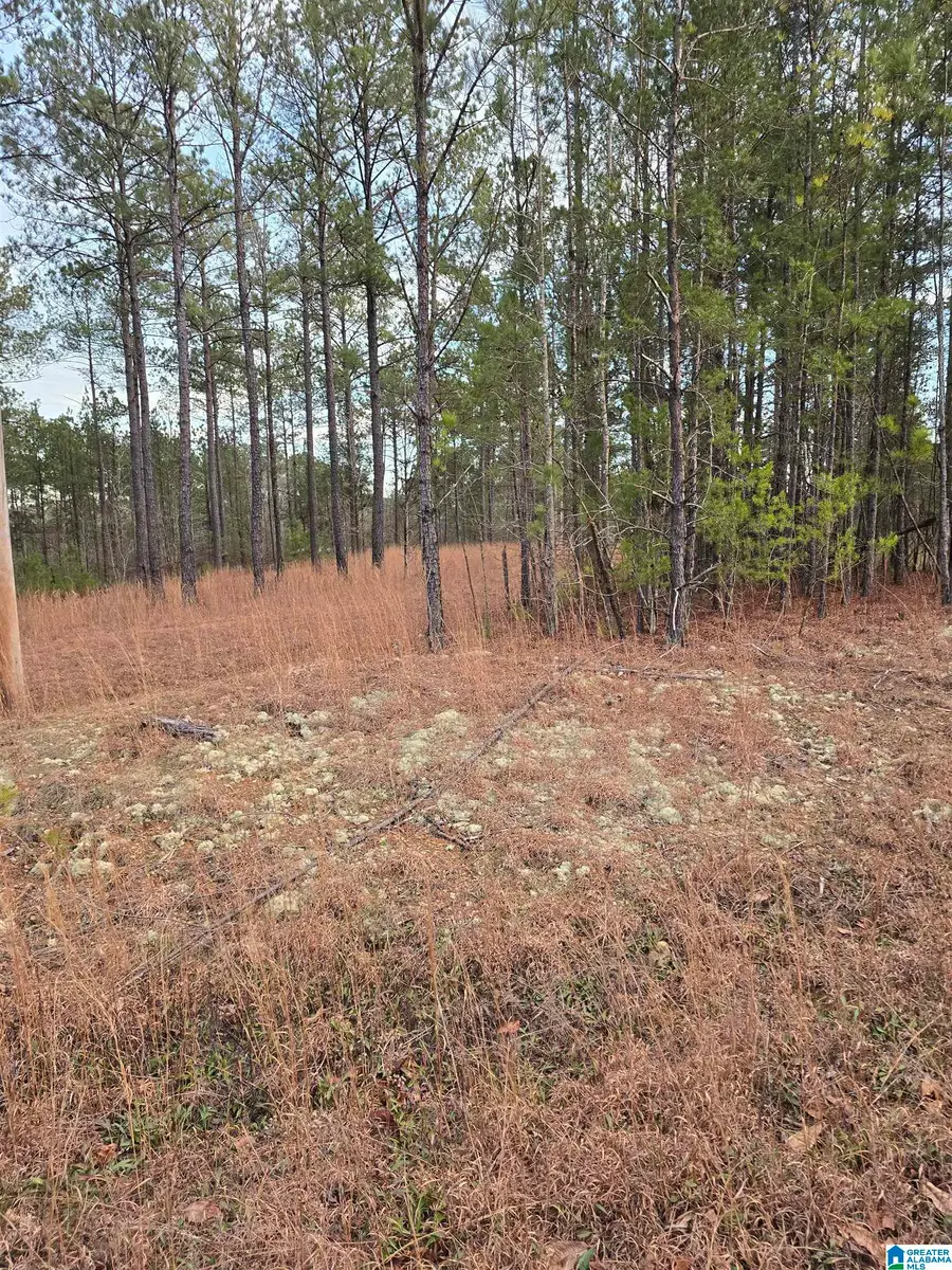 385 COUNTY ROAD 886, Jemison, AL 35085 - #2