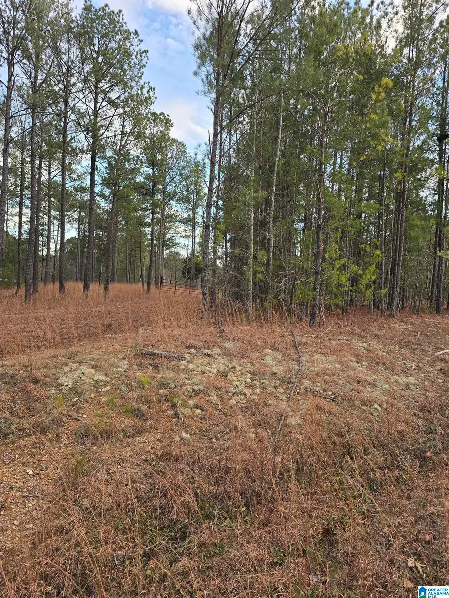 385 COUNTY ROAD 886, Jemison, AL 35085 - #3