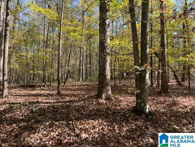 0 DOROUGH ROAD, Columbiana, AL 35051 - Image #1