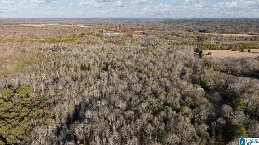 00 BRUSH CREEK DRIVE, Akron, AL 35441 - Image #3