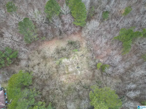 601 EASTWOOD DRIVE, Warrior, AL 35180