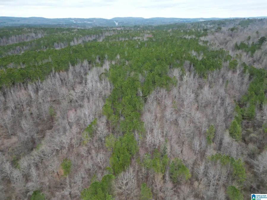 601 EASTWOOD DRIVE, Warrior, AL 35180 - Image #3