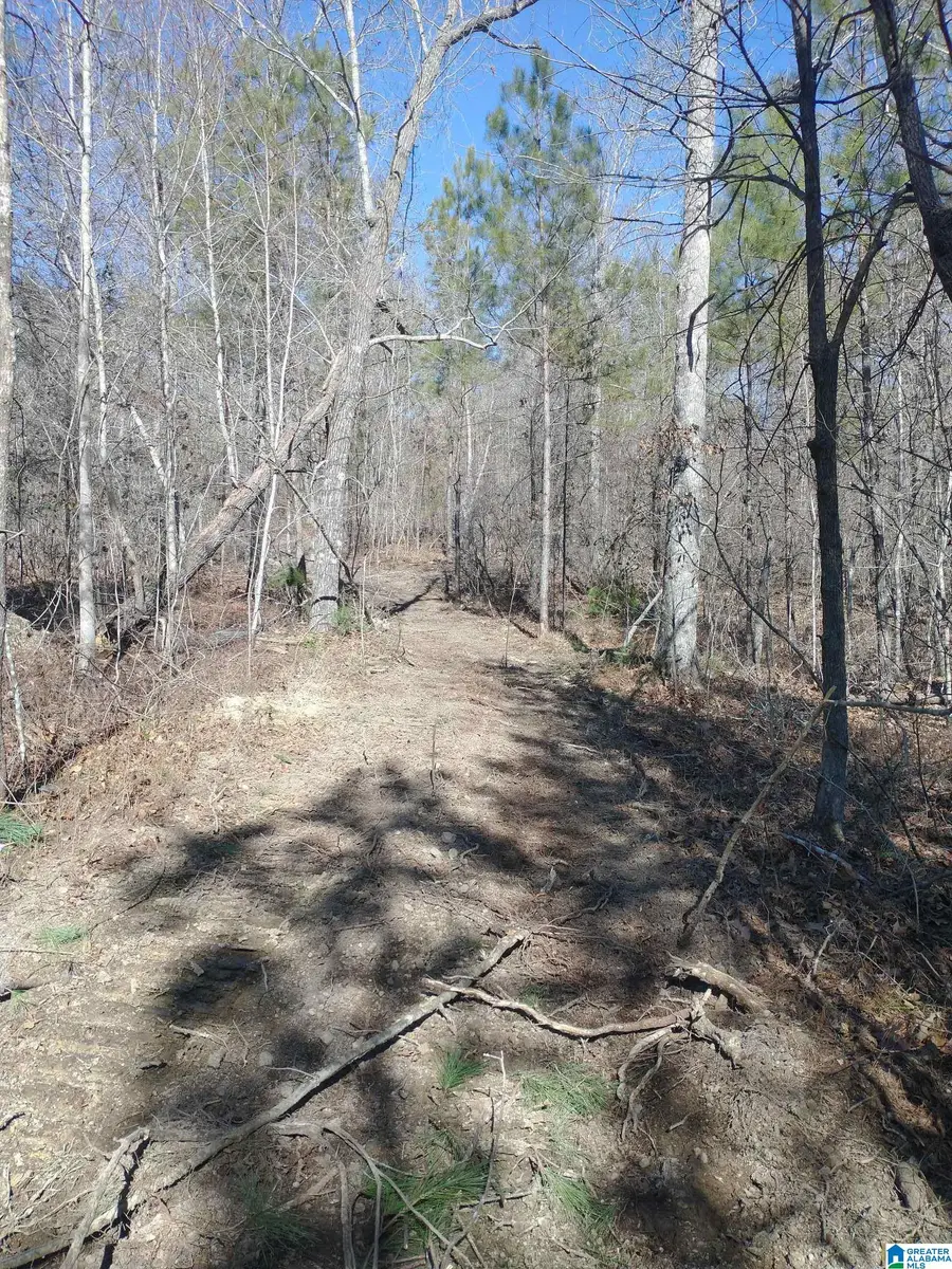 0002 MCKESIE STREET, Riverside, AL 35135 - Image #2