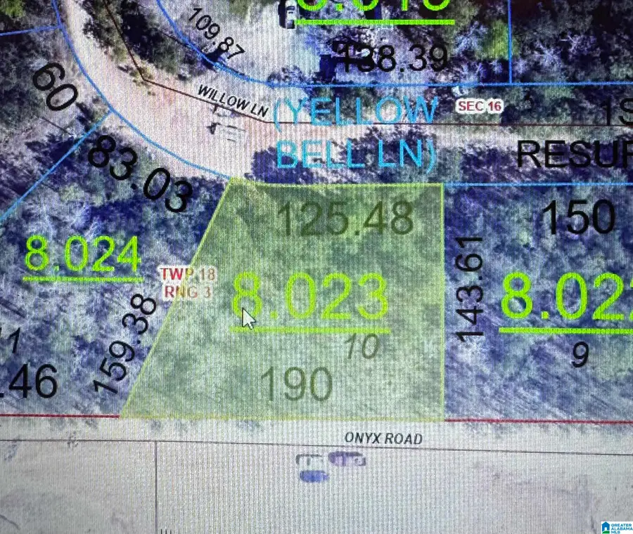 318 WILLOW LANE, Vincent, AL 35178 - Image #2