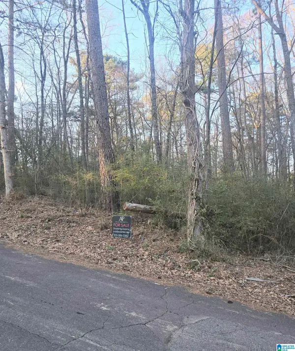 107 CHAPEL DRIVE, Bessemer, AL 35023