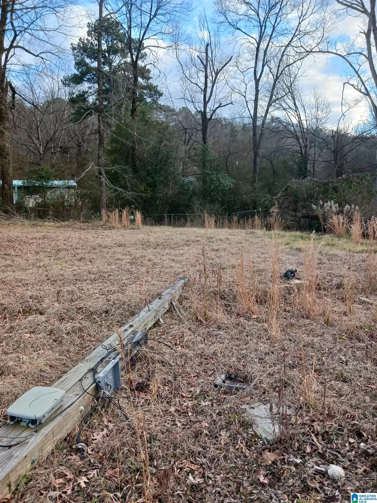 7612 CEDAR AVENUE, Leeds, AL 35094 - Image #1