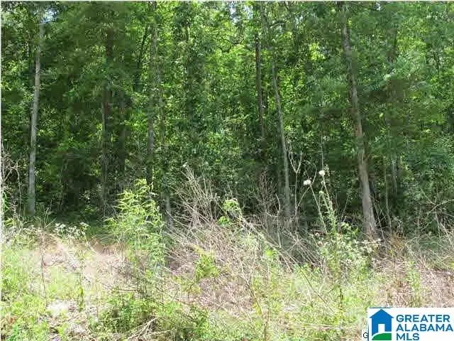LOT # 24 MANDY DRIVE, Wedowee, AL 36278 - Image #3