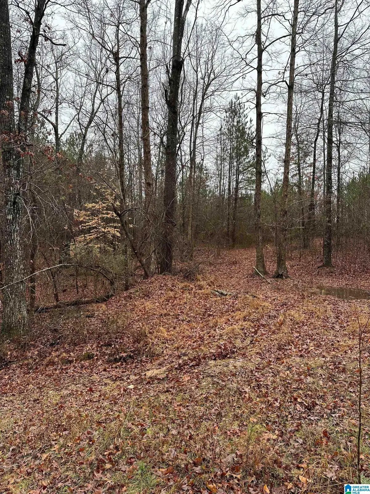 0 COUNTY ROAD 79, Roanoke, AL 36274 - Image #1