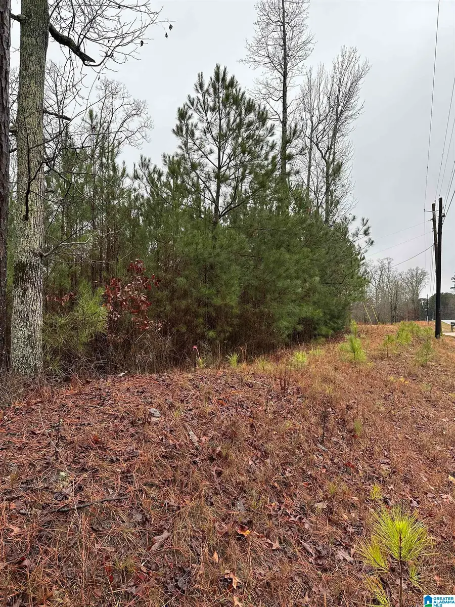 0 COUNTY ROAD 79, Roanoke, AL 36274 - Image #2