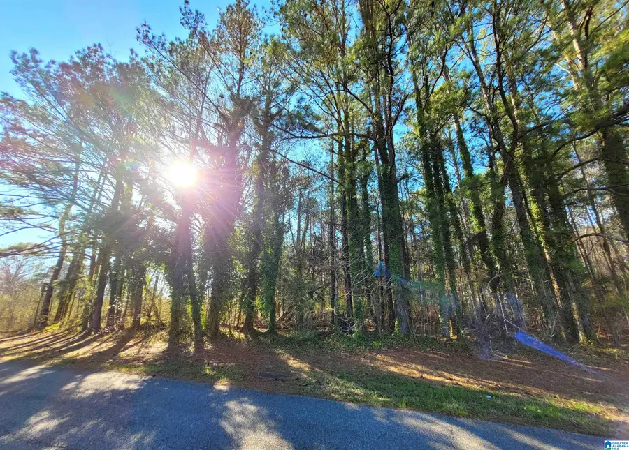 000 WELCH AVENUE, Talladega, AL 35160 - Image #2