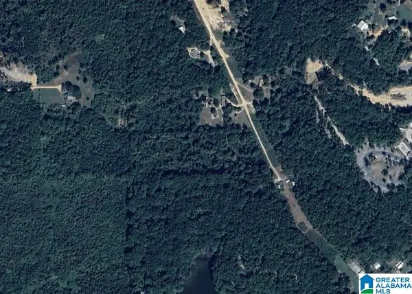 585 COUNTY ROAD, Leesburg, AL 35983