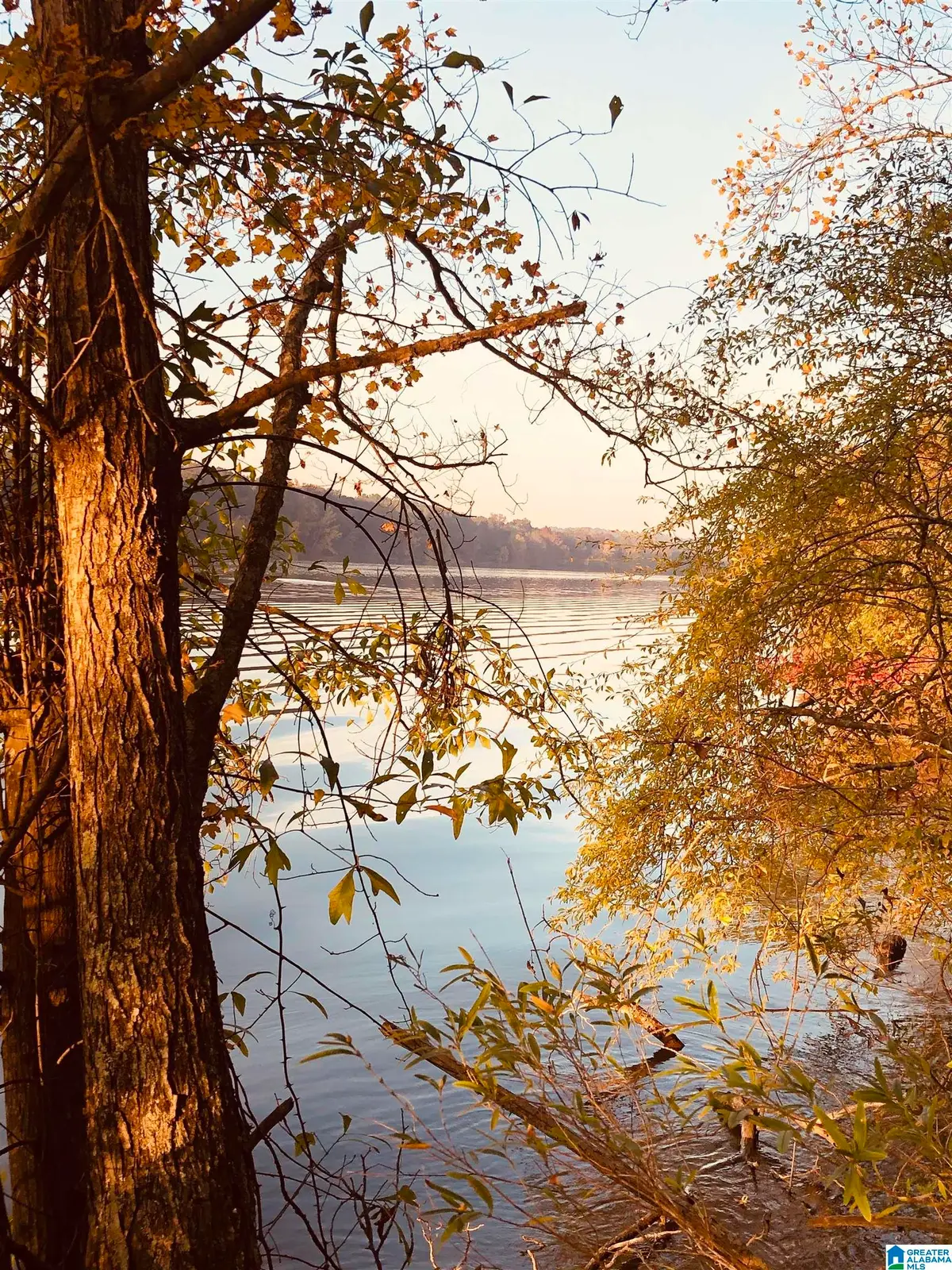 0000 COSPER BEND ROAD, Childersburg, AL 35044 - Image #1