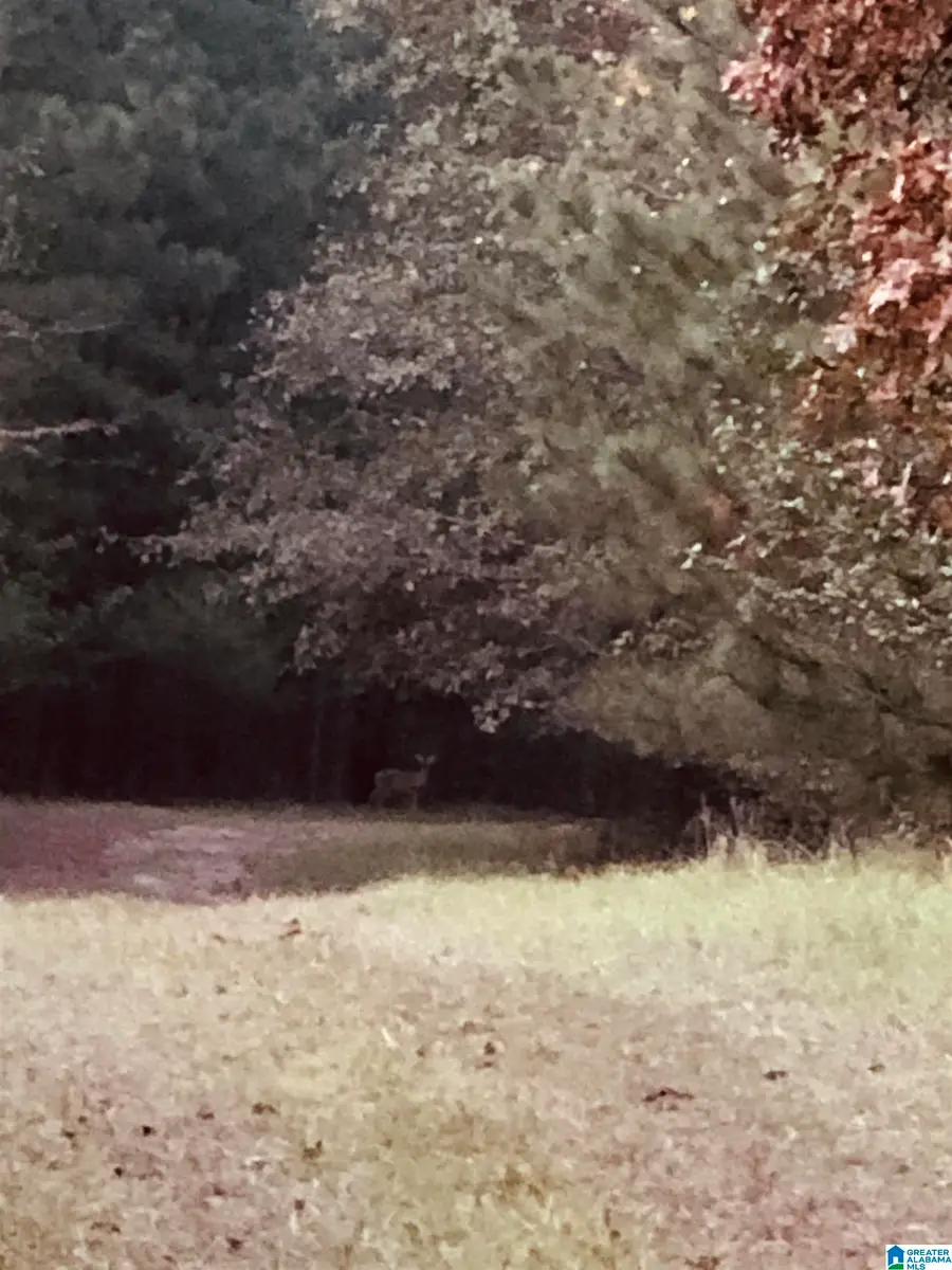 0000 COSPER BEND ROAD, Childersburg, AL 35044 - Image #3