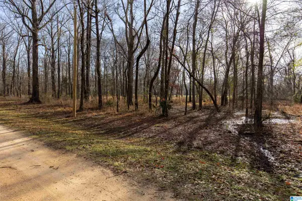 0 RIVER OAKS LANDING CIRCLE, Orrville, AL 36767