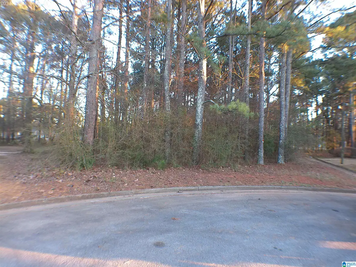 0 CARRIE COURT SW, Jacksonville, AL 36265 - Image #1