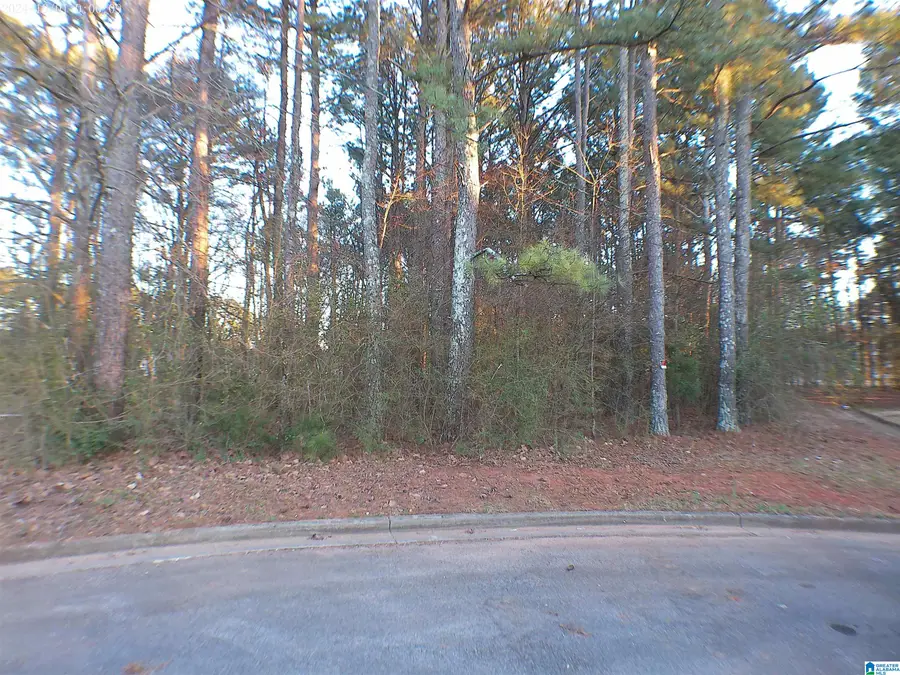 0 CARRIE COURT SW, Jacksonville, AL 36265 - Image #2