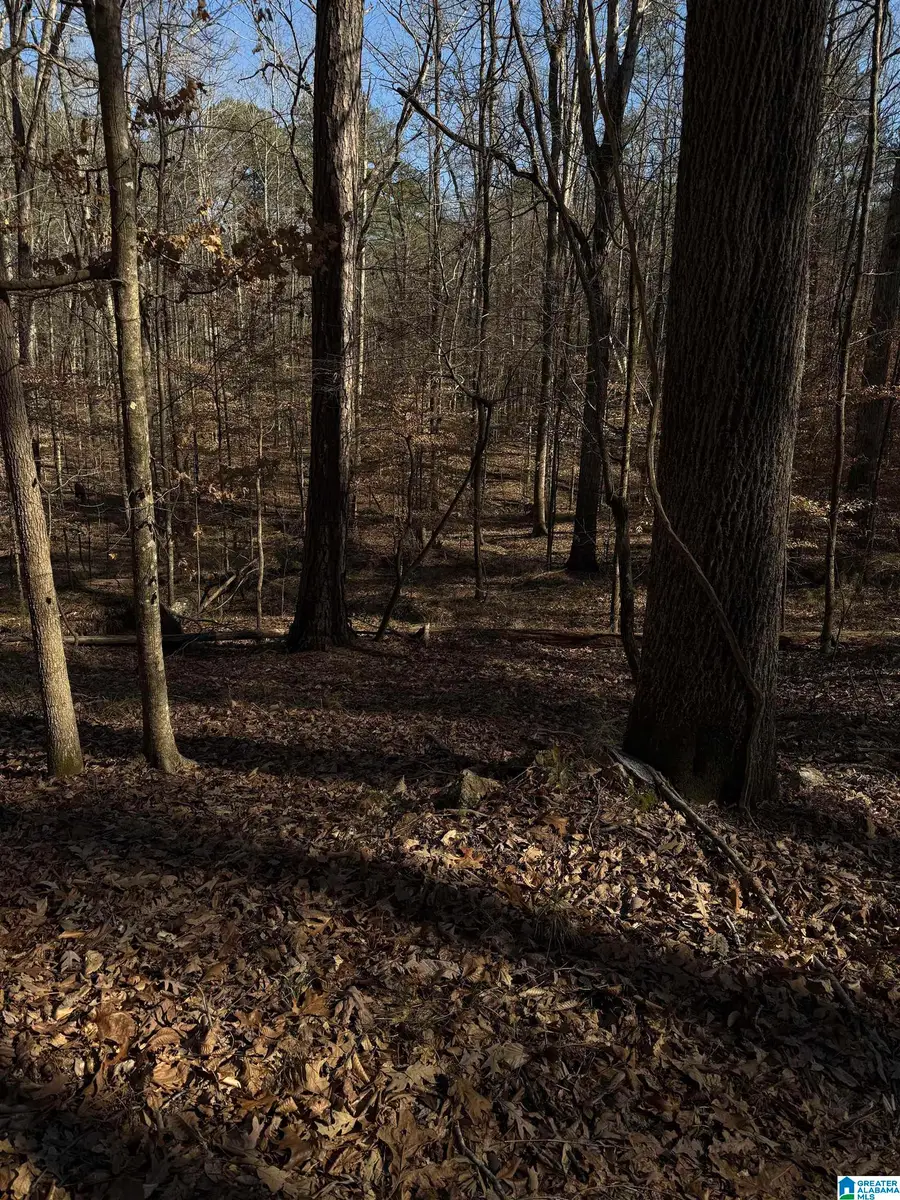 2 OAKMONT DRIVE, Alabaster, AL 35007 - Image #2