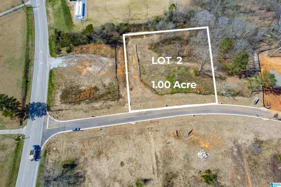 131 BISHOP CREEK LANE, Alabaster Helena, AL 35242 - Image #2