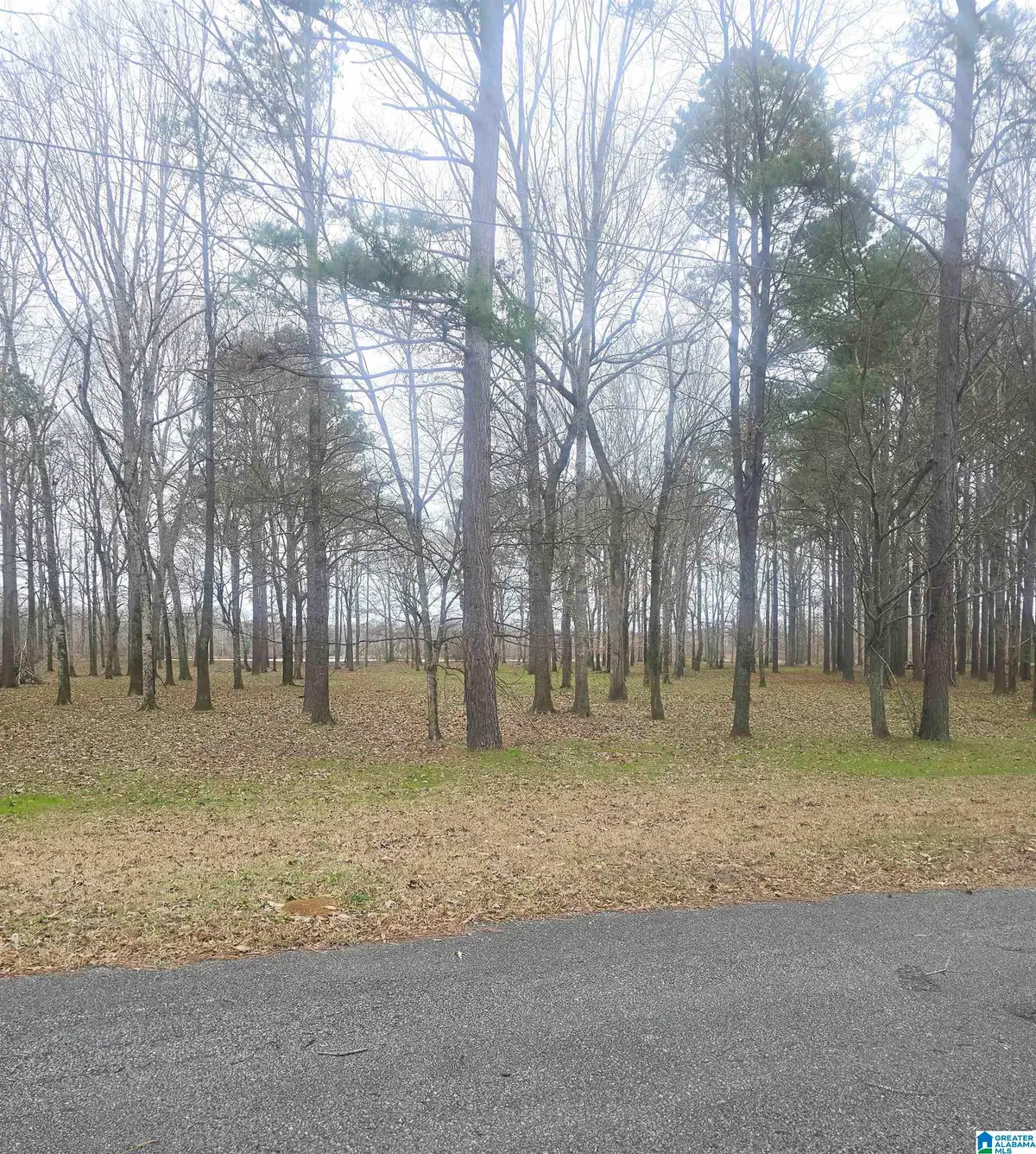 CYPRESS POINT DRIVE, Stewart Akron, AL 36776 - Image #1