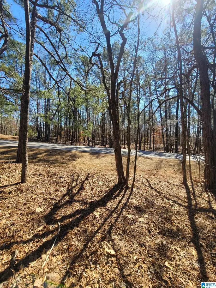 Lot 40 STILLWATERS DRIVE, Dadeville, AL 36853 - Image #2