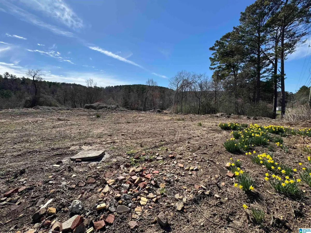 0 COLUMBUS BLVD, Cordova, AL 35550 - Image #1