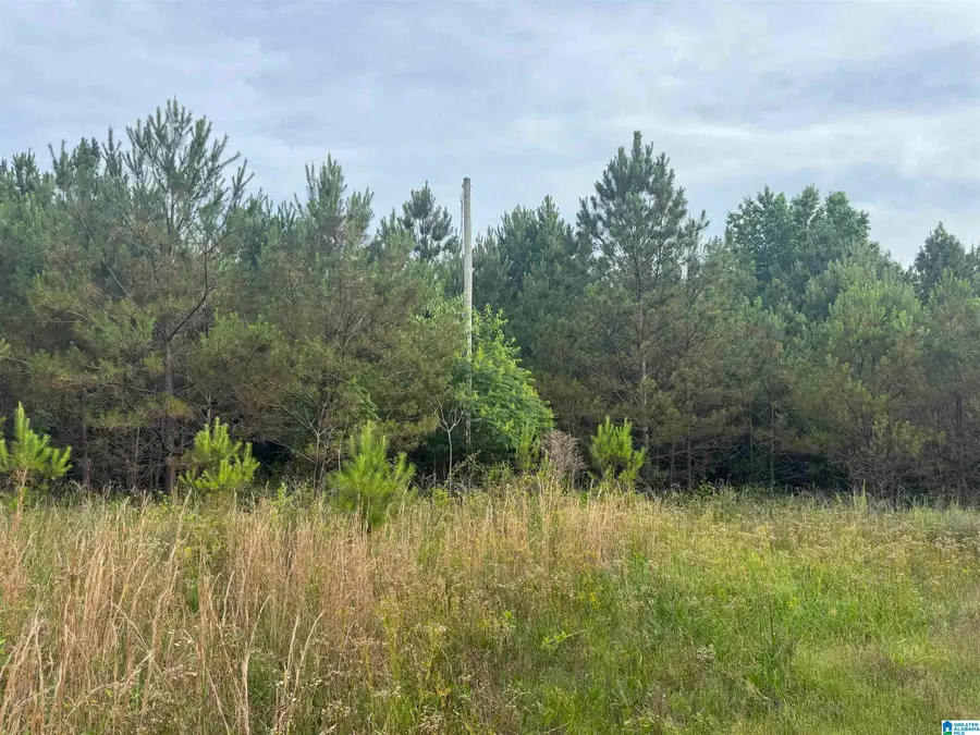 0 US HIGHWAY 43, Guin, AL 35563 - Image #2