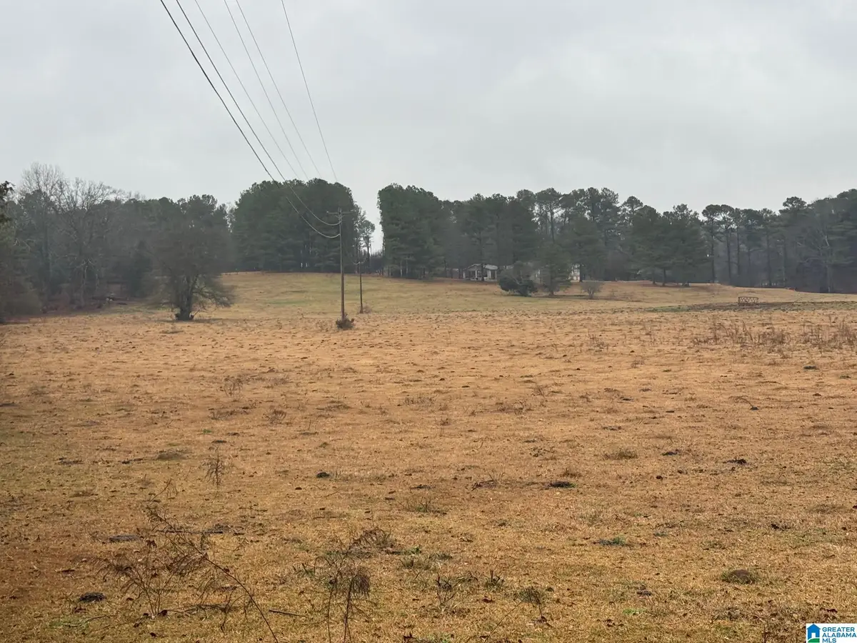 0 LOGAN MARTIN DAM ROAD, Cropwell, AL 35054 - Image #1