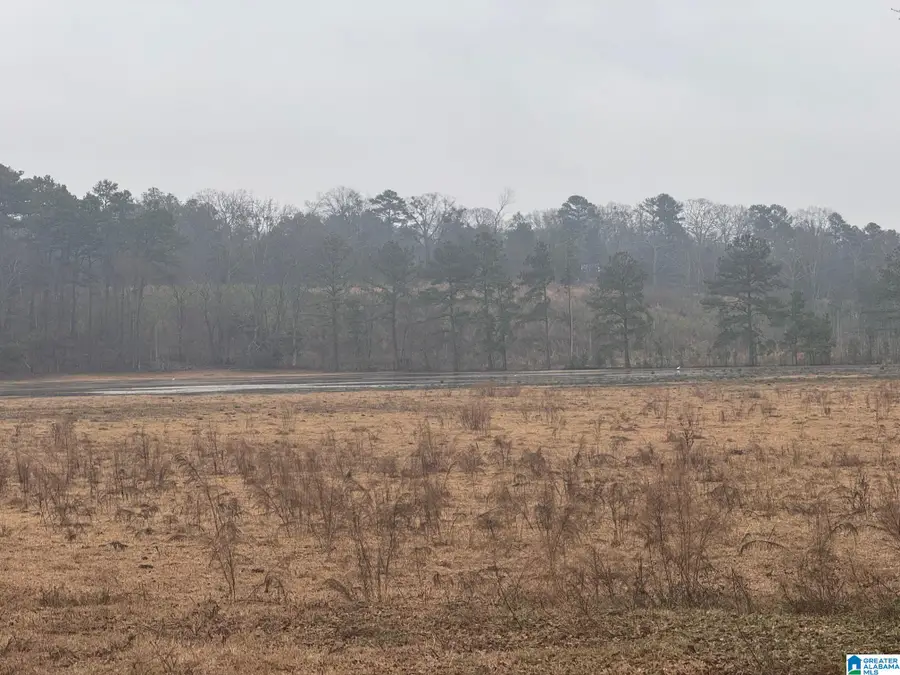0 LOGAN MARTIN DAM ROAD, Cropwell, AL 35054 - Image #3