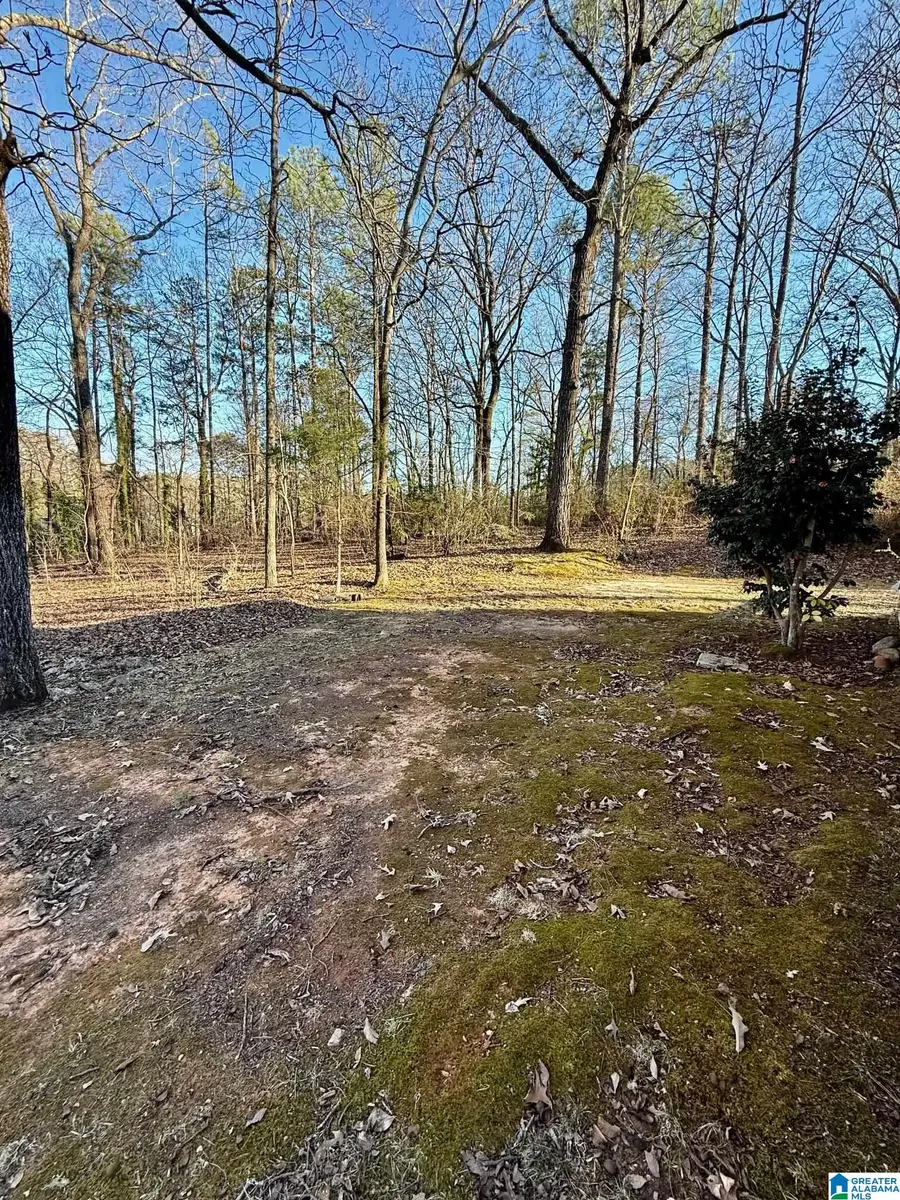 103 FOREST HILLS CIRCLE, Talladega, AL 35160 - Image #2