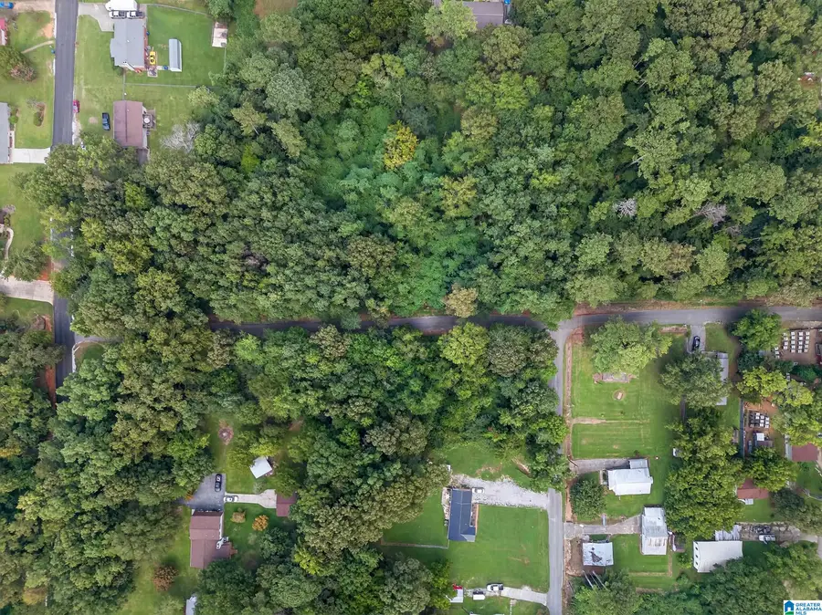 0 BOW STREET, Anniston, AL 36206 - Image #3