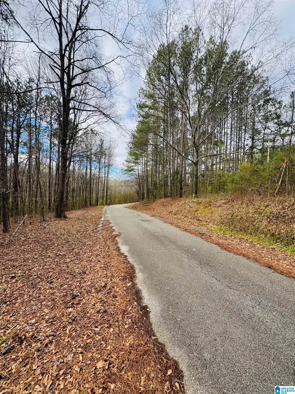 10 MOUNTAIN CREST ROAD, Chelsea, AL 35043