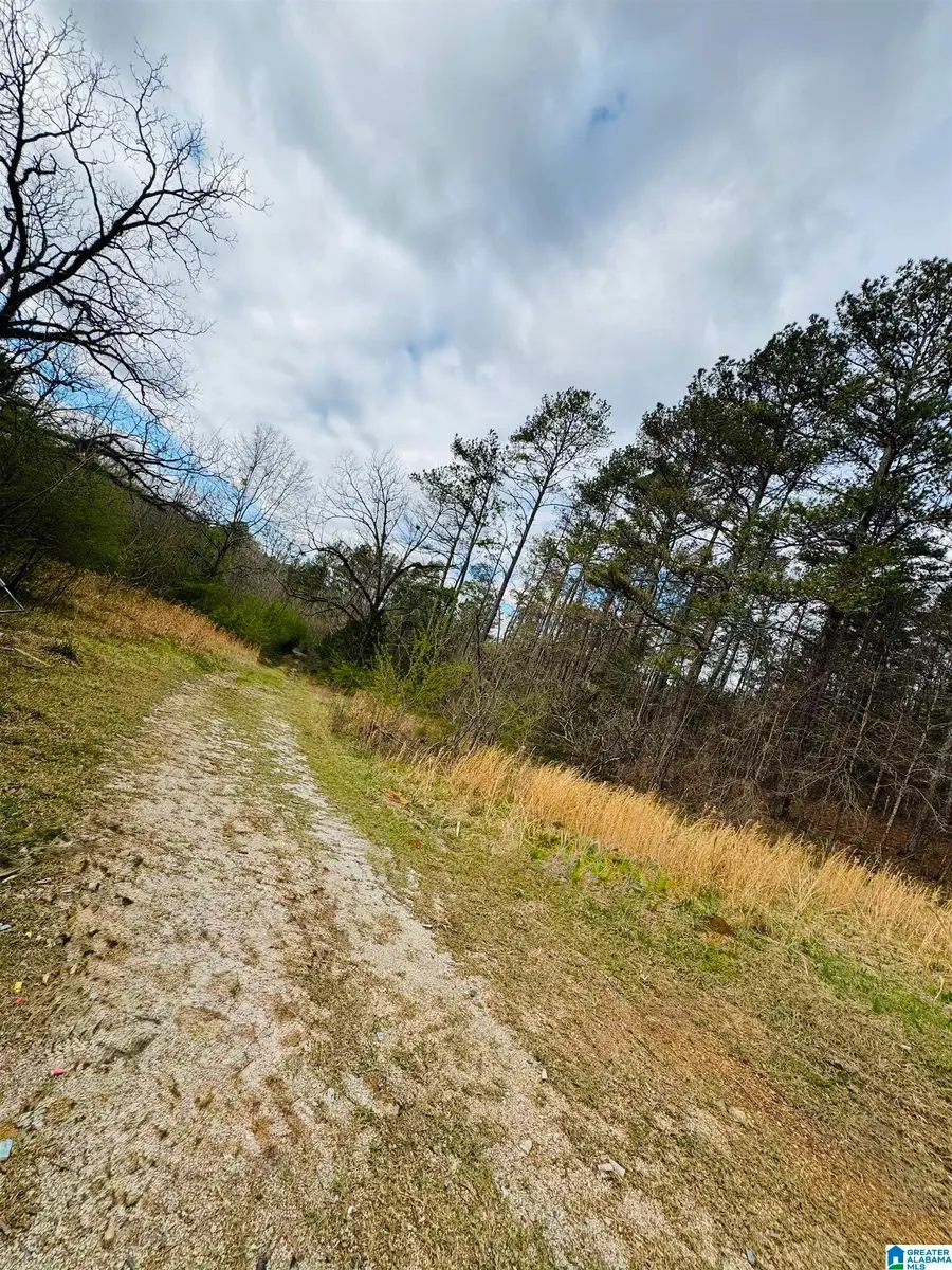 10 MOUNTAIN CREST ROAD, Chelsea, AL 35043 - Image #2