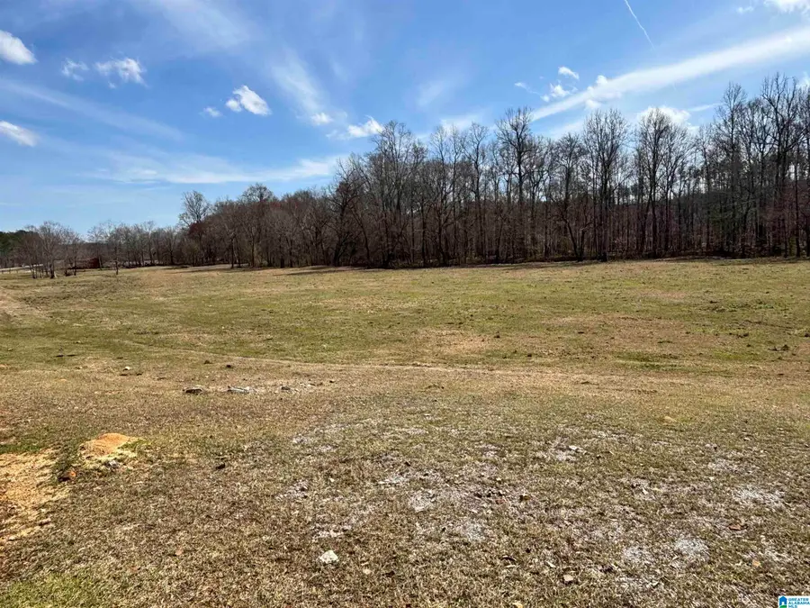 6940 HIGHWAY 26, Columbiana, AL 35051 - Image #2