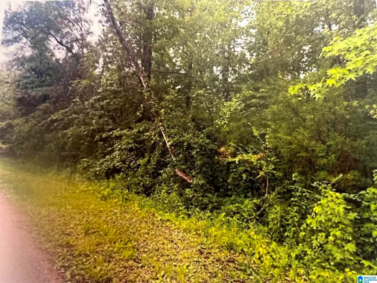 11 and 12 19TH STREET, Calera, AL 35040 - Image #1