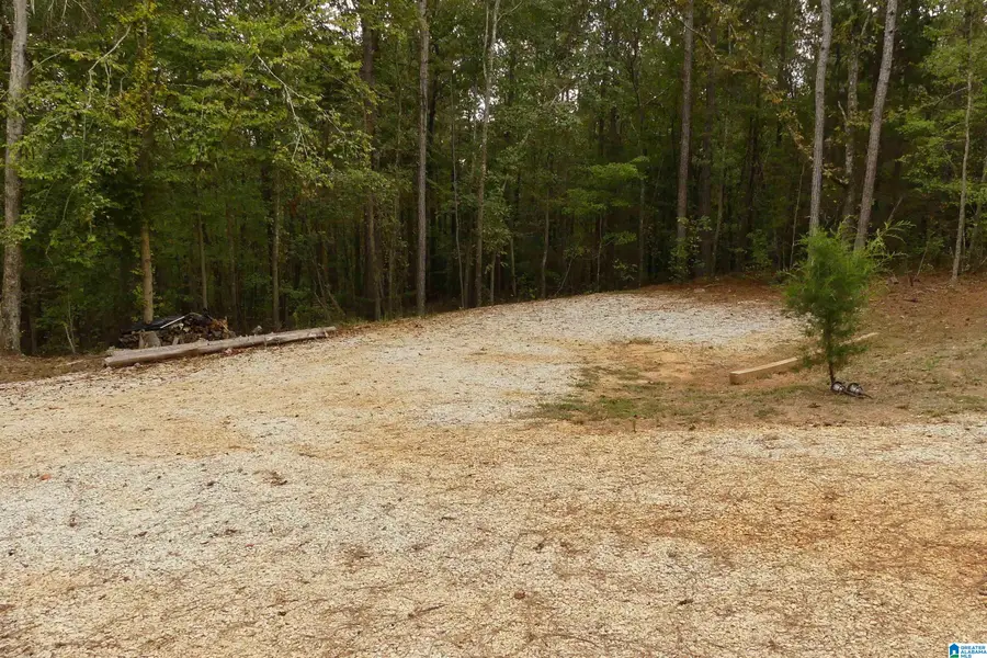 4329 COUNTY ROAD 329, Wedowee, AL 36278 - Image #3