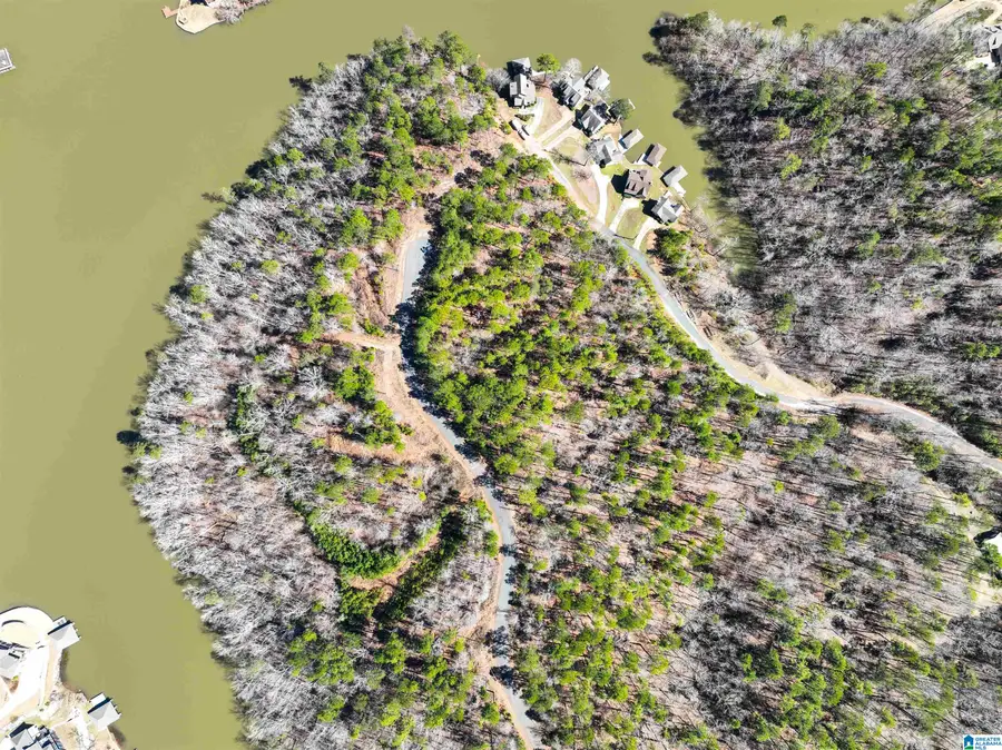 0 PRESERVE CIRCLE, Rockford, AL 35136 - Image #2