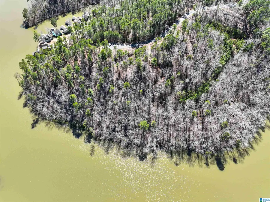 0 PRESERVE CIRCLE, Rockford, AL 35136 - Image #3