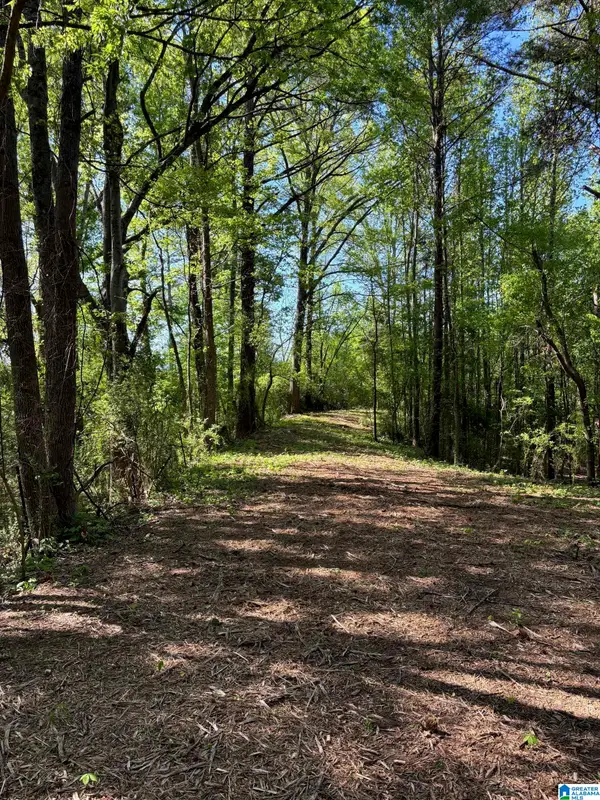 1401 COBB ROAD, Munford, AL 36268