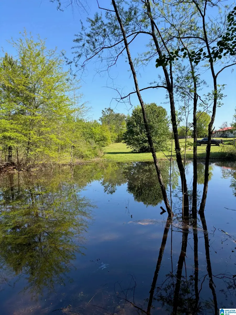 1401 COBB ROAD, Munford, AL 36268 - Image #2