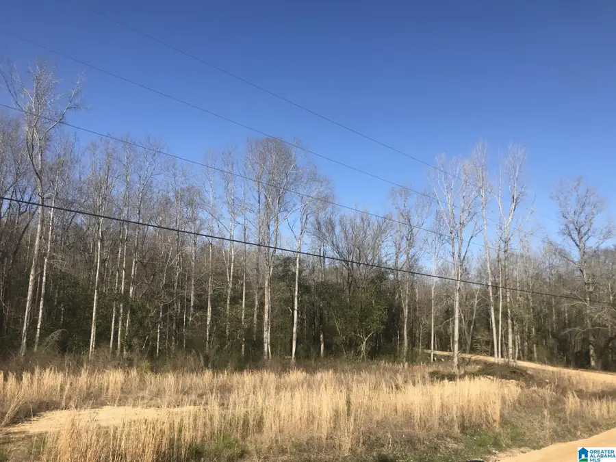 0 COUNTY ROAD 340, Maplesville, AL 36750 - Image #2