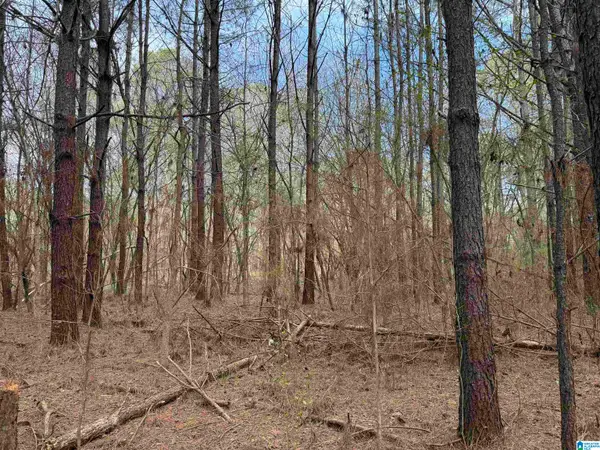 0 WALLACE STREET, Sylacauga, AL 35150