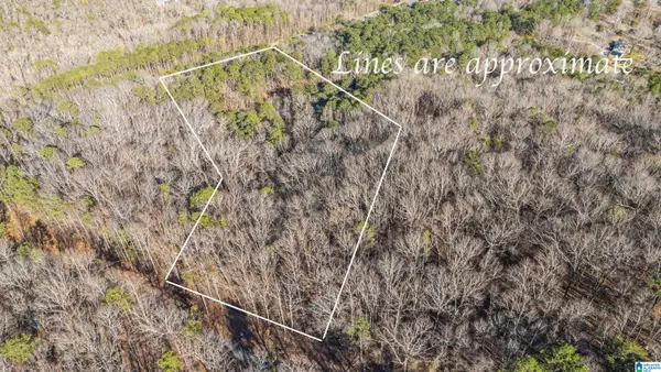 0 COUNTRY ROAD, Warrior, AL 35180