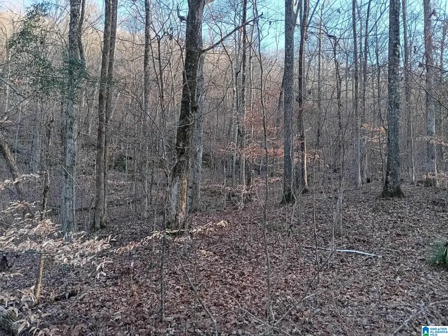 0 VALLEY CIRCLE, Warrior, AL 35180 - Image #3
