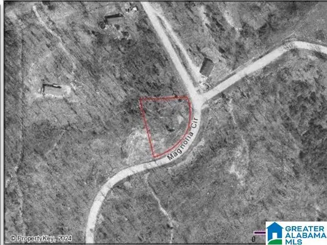 0 SHAINA LANE, Cropwell, AL 35054 - #1
