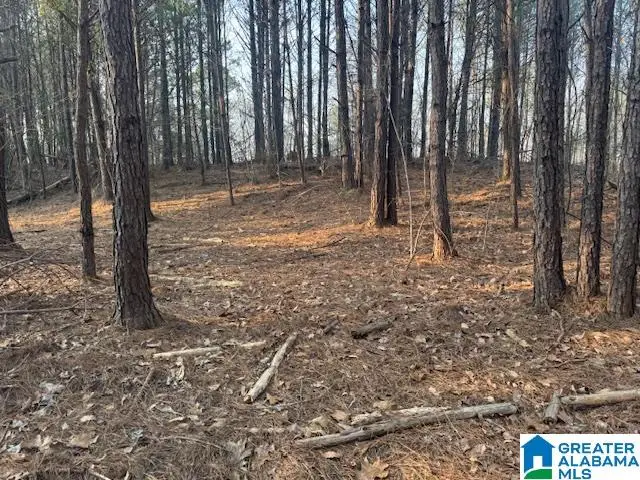 0 STELLA LOCKARD ROAD, Cordova, AL 35550 - Image #1