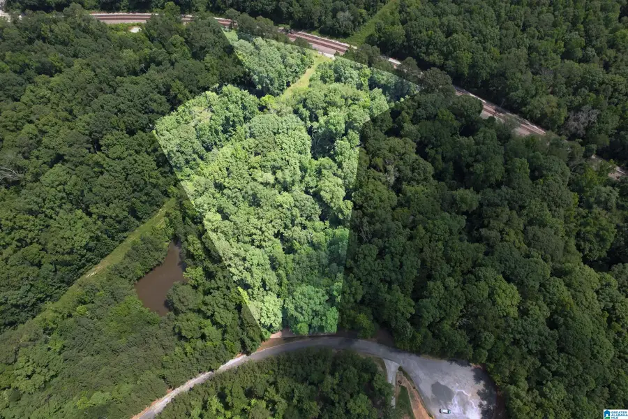 0 WEATHERTON TRAIL, Harpersville, AL 35078 - Image #2