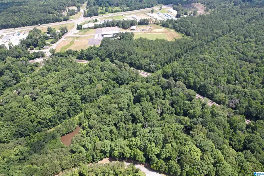 0 WEATHERTON TRAIL, Harpersville, AL 35078 - Image #3