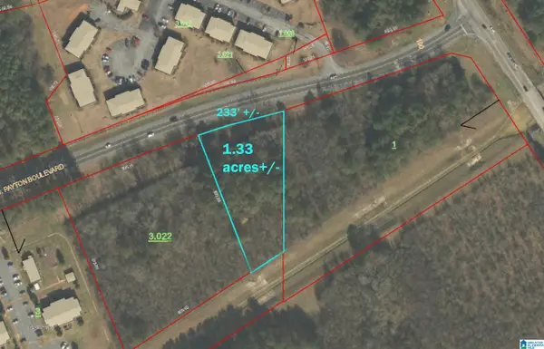 0 JAMES PAYTON BOULEVARD, Sylacauga, AL 35150