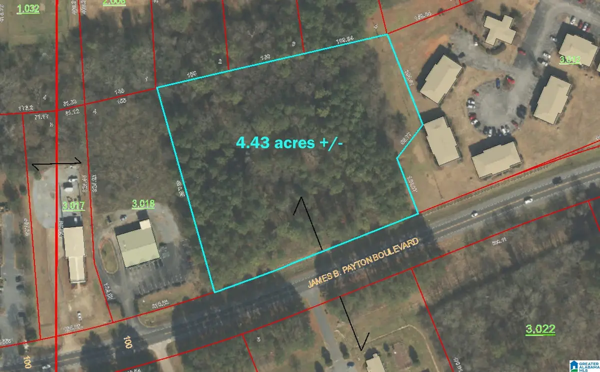 000 JAMES PAYTON BOULEVARD, Sylacauga, AL 35150 - Image #1